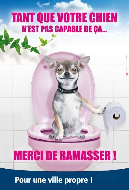 Campagne-dejections-canines-2010BN