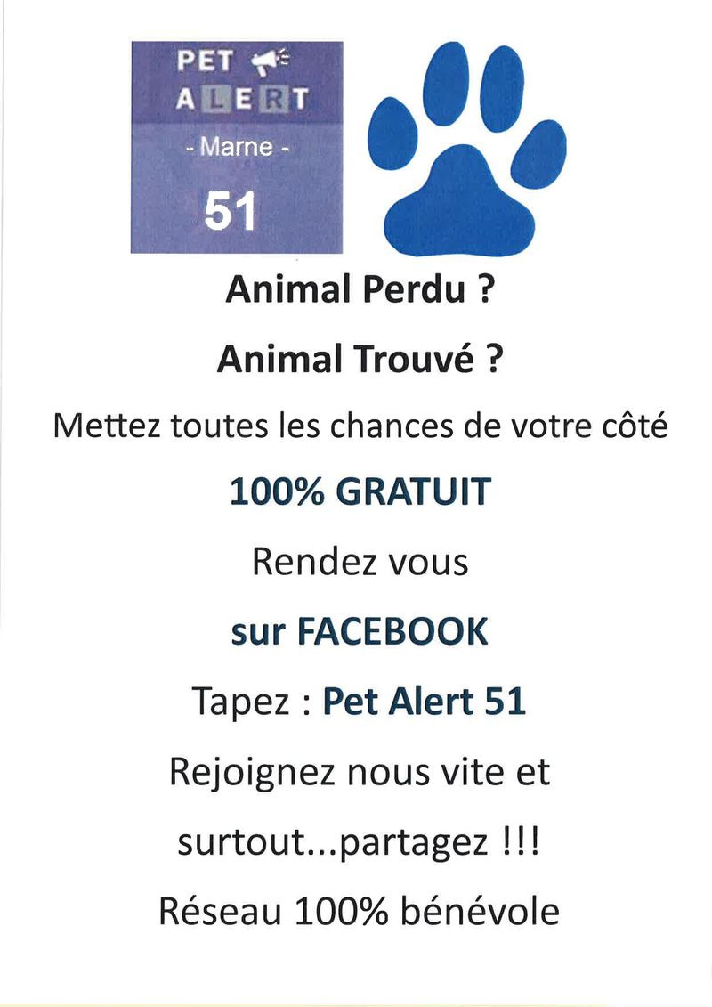 pet_alert_51