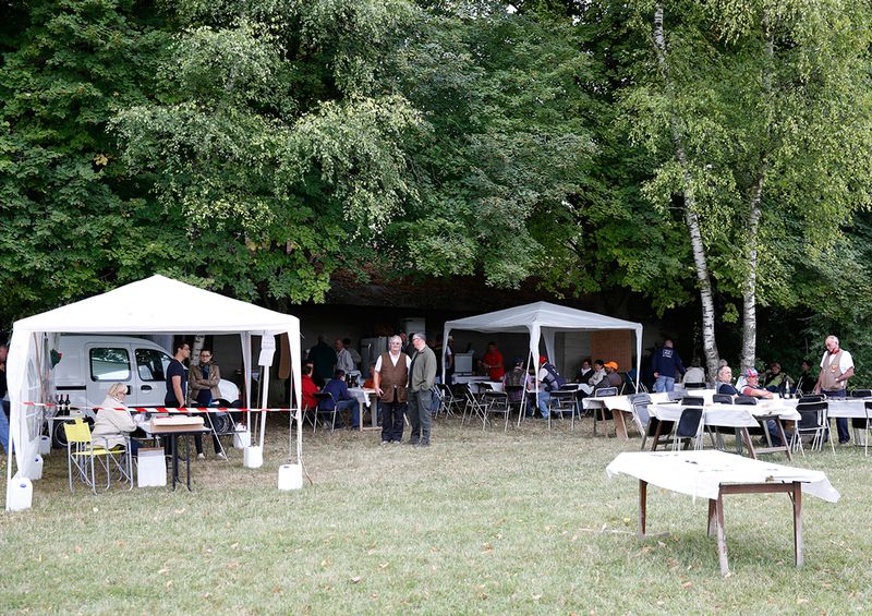 plaine_et_bois_site
